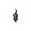 Rat