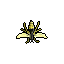 Wasp