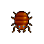 Bug